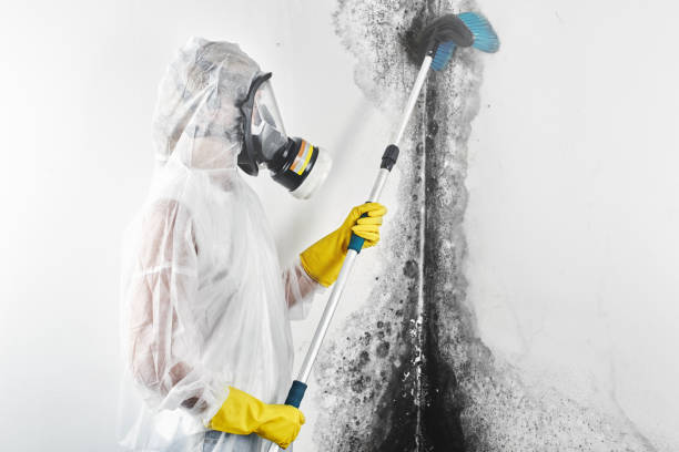 Mold Remediation for Vacation Homes in Fairmead, CA